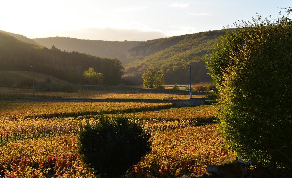 Hotel Les Deux Chevres Gevrey-Chambertin Eksteriør bilde